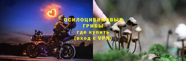 соль ск Арсеньев
